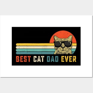 Best Cat Dad Ever Fathers Day Gift Cat Daddy For Men Posters and Art